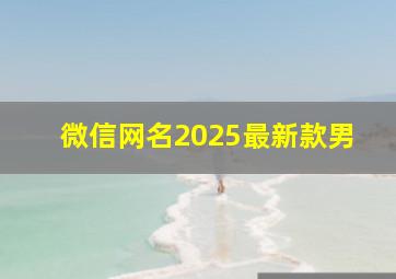 微信网名2025最新款男