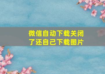 微信自动下载关闭了还自己下载图片