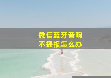 微信蓝牙音响不播报怎么办