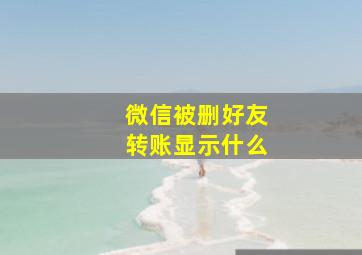 微信被删好友转账显示什么