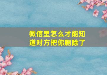 微信里怎么才能知道对方把你删除了