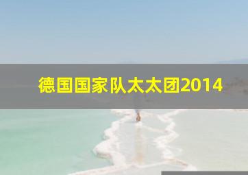 德国国家队太太团2014