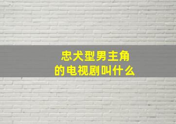 忠犬型男主角的电视剧叫什么