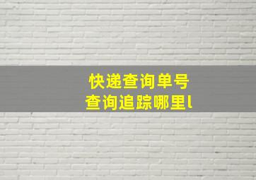 快递查询单号查询追踪哪里l