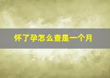 怀了孕怎么查是一个月