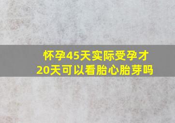 怀孕45天实际受孕才20天可以看胎心胎芽吗