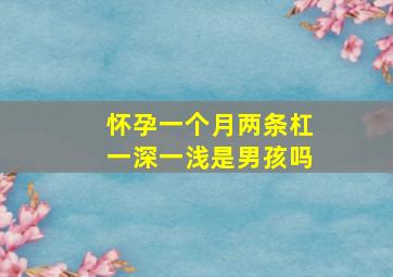 怀孕一个月两条杠一深一浅是男孩吗