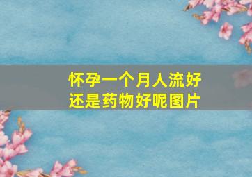 怀孕一个月人流好还是药物好呢图片