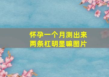 怀孕一个月测出来两条杠明显嘛图片