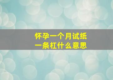 怀孕一个月试纸一条杠什么意思