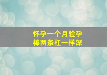 怀孕一个月验孕棒两条杠一样深