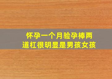 怀孕一个月验孕棒两道杠很明显是男孩女孩