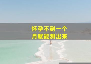 怀孕不到一个月就能测出来