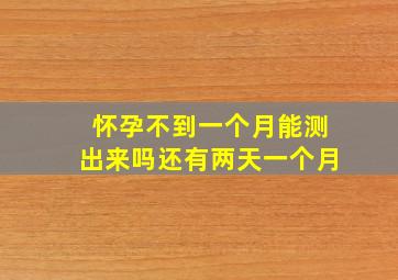 怀孕不到一个月能测出来吗还有两天一个月