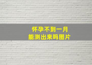 怀孕不到一月能测出来吗图片