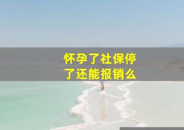 怀孕了社保停了还能报销么