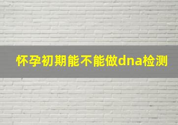 怀孕初期能不能做dna检测