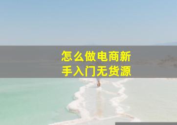 怎么做电商新手入门无货源