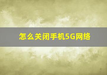 怎么关闭手机5G网络