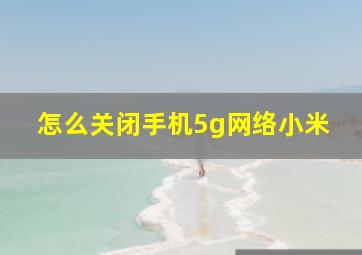 怎么关闭手机5g网络小米