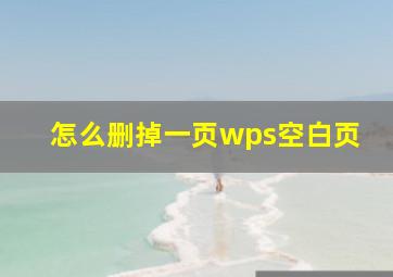 怎么删掉一页wps空白页