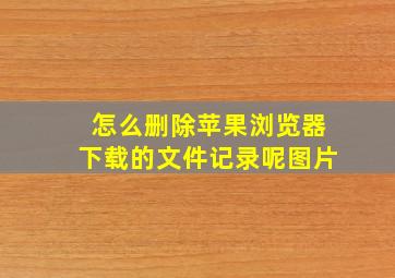 怎么删除苹果浏览器下载的文件记录呢图片