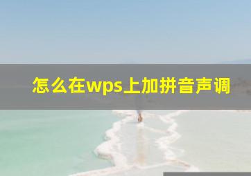 怎么在wps上加拼音声调