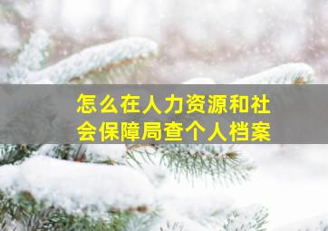 怎么在人力资源和社会保障局查个人档案