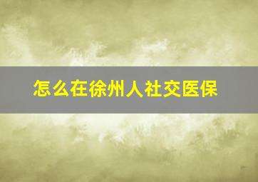 怎么在徐州人社交医保