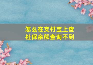 怎么在支付宝上查社保余额查询不到