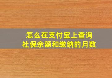 怎么在支付宝上查询社保余额和缴纳的月数