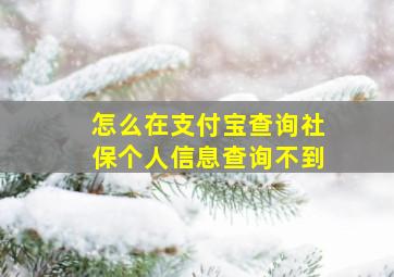 怎么在支付宝查询社保个人信息查询不到