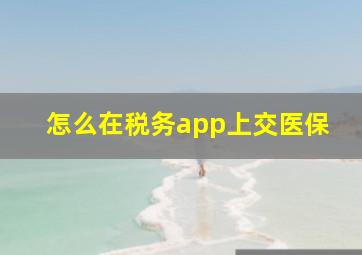 怎么在税务app上交医保