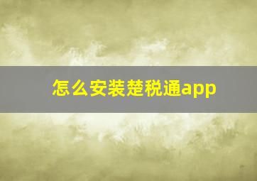 怎么安装楚税通app