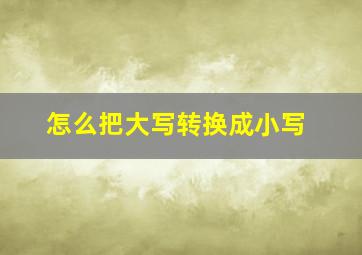 怎么把大写转换成小写