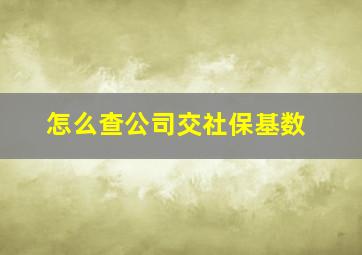 怎么查公司交社保基数