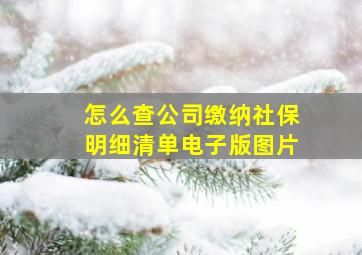 怎么查公司缴纳社保明细清单电子版图片