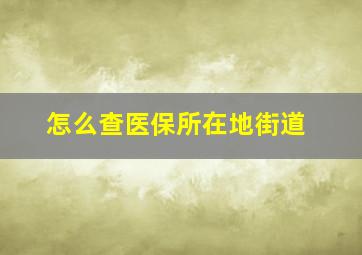 怎么查医保所在地街道