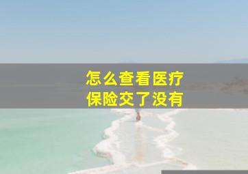 怎么查看医疗保险交了没有