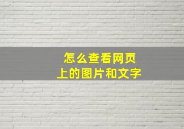 怎么查看网页上的图片和文字