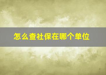 怎么查社保在哪个单位