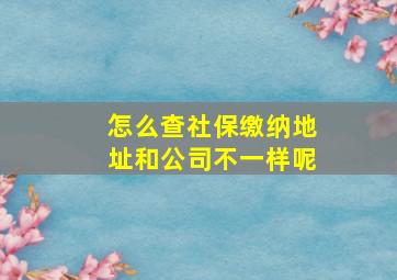 怎么查社保缴纳地址和公司不一样呢