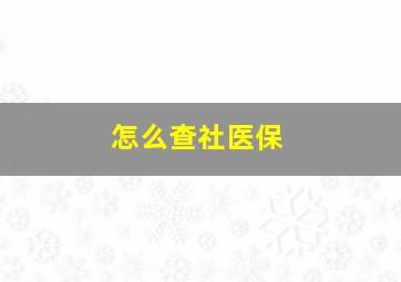 怎么查社医保