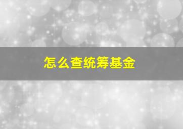 怎么查统筹基金