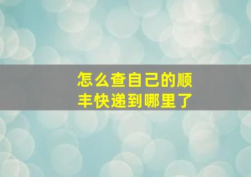 怎么查自己的顺丰快递到哪里了