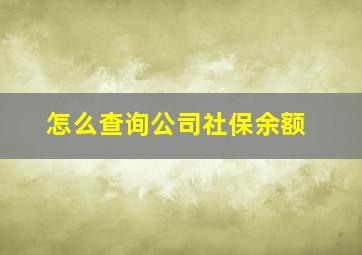 怎么查询公司社保余额