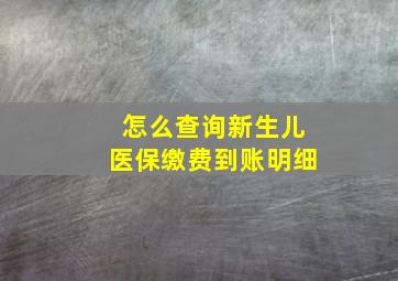 怎么查询新生儿医保缴费到账明细