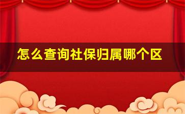 怎么查询社保归属哪个区