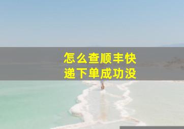 怎么查顺丰快递下单成功没