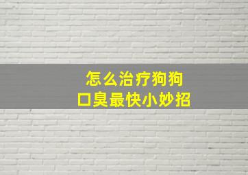 怎么治疗狗狗口臭最快小妙招